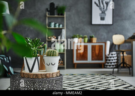 Grauen Raum mit Cactus in der dekorativen Topf Stockfoto