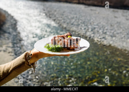 Close up weibliche Hand, die eine Platte mit lecker Gegrilltem Fleisch oder Grillen im Freien Stockfoto