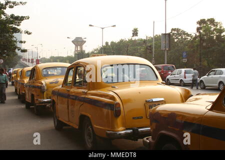 Gelbe Botschafter Taxis in einer Reihe, Kalkutta, Indien Stockfoto