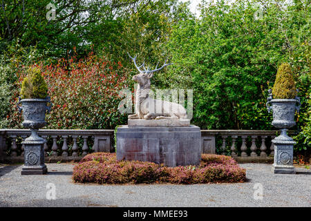 Stein Denkmal einer Sitzung wild in der Manor House in der palmerstown House Estate, Johnstown, Co Kildare, Irland Stockfoto