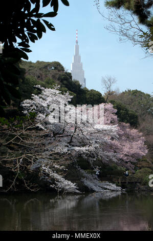 Teich mit Reflexion der Kirschbäume und NTT Docomo Turm in Shinjuku Gyoen National Garten während Sakura Jahreszeit in Tokio, Japan. Stockfoto