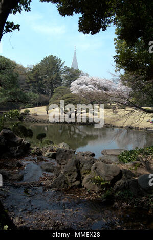 Teich mit Reflexion der Kirschbäume und NTT Docomo Turm in Shinjuku Gyoen National Garten während Sakura Jahreszeit in Tokio, Japan. Stockfoto