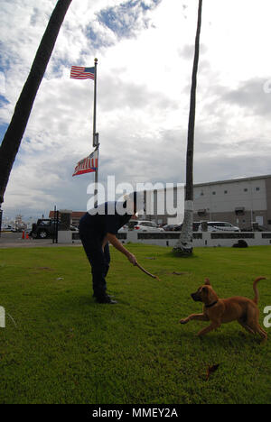 Petty Officer 1st Class Jana James spielt mit ihrem Neu Hund gerettet, Soldat, auf dem Rasen von San Juan, Puerto Rico, Okt. 28, 2018. James, ein reservist mit Marine Safety Unit Savannah, GA., bereitgestellt von San Juan für 60 Tage zur Unterstützung der Hurrikan Maria Antwort. U.S. Coast Guard Foto von Petty Officer 2. Klasse Matthew Masaschi. Stockfoto