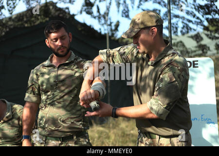 British Royal Navy Petty Officer Medical Assistant Gareth George, rechts, und führende medizinische Assistentin Adam Turner, Links, die richtige Technik für bandagierung der Unterarm während einer Übung in Camp Lejeune, N.C., Okt. 22, 2017 demonstrieren. George und Turner nahmen an Bold Alligator 17, eine jährliche Übung die entworfen wurde, um die Navy und Marine Corps Team mit Partnerstaaten zu trainieren, zu verfeinern und zu stärken Kern amphibischen Kompetenzen Critical power Projektion auf den Seeverkehr. (U.S. Marine Corps Foto von Lance Cpl. Scarlet A. Scharf) Stockfoto