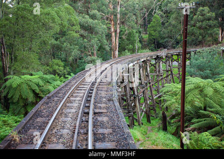 Die ikonischen Ziehen Billy Steam Gestellbrücke in den Dandenong Ranges am 27. April 2012 Stockfoto