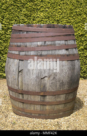 Alten Holzfass stand vor der Grünen hohen Sträuchern. Stockfoto