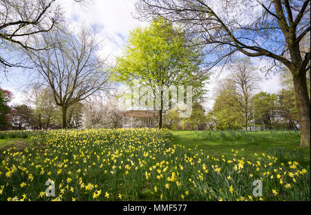 Musikpavillon und Park in Firma Ilkeston, Derbyshire, Großbritannien Stockfoto