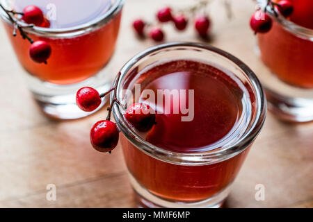 Cranberry Cocktail mit Wodka Shot. Beverage Konzept. Stockfoto