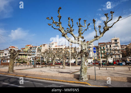 Stadt Cannes in Frankreich, Charles de Gaulle Liberty Pfade von Bäumen gesäumten Promenade Stockfoto
