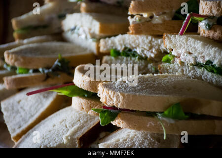 Schneiden Schüssel gemischter sandwich Dreiecke Stockfoto