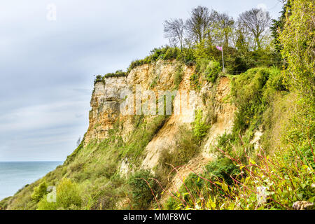 Die Kreidefelsen von Bier Kopf neben dem Dorf Bier neben den Englischen Kanal an der Südküste von Devon, England. Stockfoto