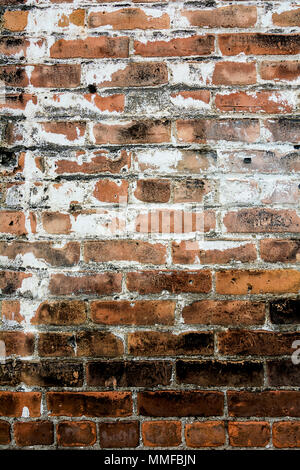 Foto von einem bunten alten zerfallenden Mauer mit abblätternder Farbe und Stuck. Toll für ein Hintergrundbild oder eine Textur. Stockfoto