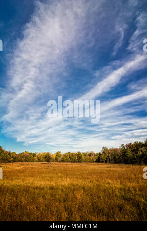 Einen schönen Herbst Szene mit bunten Farben des Herbstes in der entfernten Bäume zu sehen. Finden diese Szene bei Irwin Prairie State Natur bewahren. Stockfoto