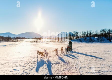 Husky Hunde ziehen Schlitten mit Familie von Vater und Tochter an sonnigen Wintertag im nördlichen Norwegen Stockfoto