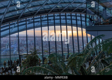 Der Sky Garden bei Sonnenuntergang an der Spitze der 20 Fenchurch Street Wolkenkratzer (die Walkie-Talkie-Gebäude), London, England, UK. Stockfoto