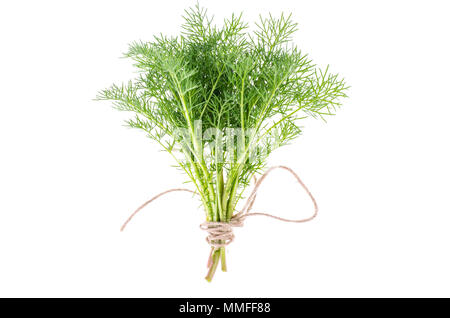 Bündel grüne Triebe mit Wurzeln. Studio Foto Stockfoto