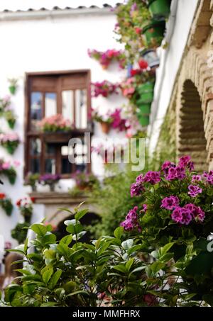 Madrid, Spanien. 10. Mai, 2018. Blumen blühen in einem Courtyard in Cordoba, Spanien, am 10. Mai 2018. Die Patios Festival in Cordoba ist von 1. Mai bis 13. Mai statt. Quelle: Guo Qiuda/Xinhua/Alamy leben Nachrichten Stockfoto