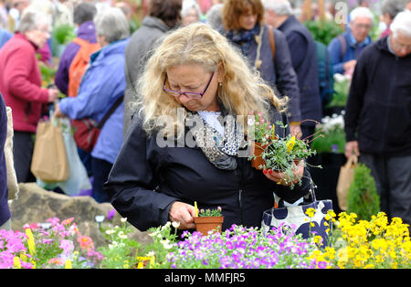 RHS Malvern Spring Festival - Freitag, 11. Mai 2018 - Besucher viel Spaß beim Durchstöbern der vielen Stände an diesem Jahre RHS Malvern Frühlingsfest - Foto Steven Mai/Alamy leben Nachrichten Stockfoto