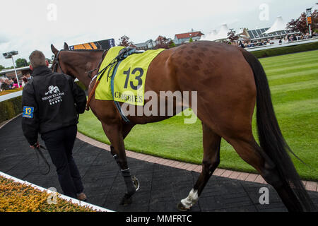 Chester, UK. 11.05.2018. Crabbie's Earl Grosvenor Handicap Pferde. Sieger Baraweez geritten von Phil Denis. Credit: MediaWorldImages/Alamy leben Nachrichten Stockfoto