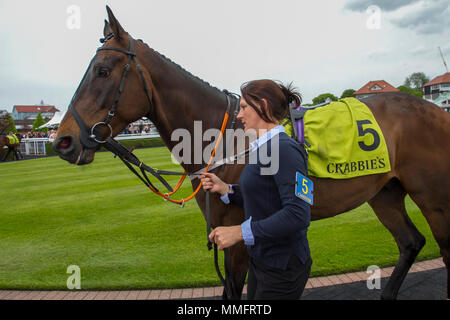 Chester, UK. 11.05.2018. Crabbie's Earl Grosvenor Handicap Pferde. Muntadab geritten von Tony Hamilton Credit: MediaWorldImages/Alamy leben Nachrichten Stockfoto