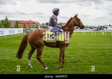 Chester, UK. 11.05.2018. Crabbie's Earl Grosvenor Handicap Pferde. Rene Mathis geritten von Paul Hanagan. Credit: MediaWorldImages/Alamy leben Nachrichten Stockfoto