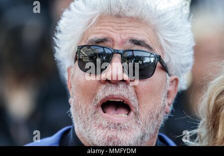 Cannes, Frankreich. 11. Mai 2018. Pedro Almodova Ector Asche ist die reinsten Weiß. Premiere. 71 St Cannes Film Festival Cannes, Frankreich, 11. Mai 2018 Dja 848 71 St Cannes Film Festival Quelle: Allstar Bildarchiv/Alamy leben Nachrichten Stockfoto