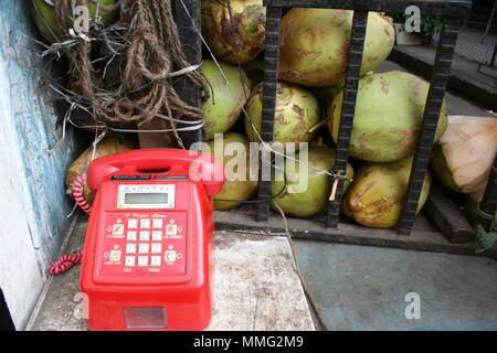 Retro Telefon und Kokosnüsse, Mumbai, Indien Stockfoto