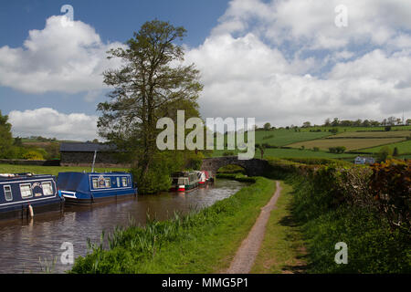 Blick entlang eines Teils des Brecon- und Monmouth-Kanals in Wales, Großbritannien Stockfoto