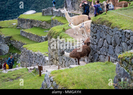 Der Weg nach Machu Picchu und schöne Landschaften Stockfoto