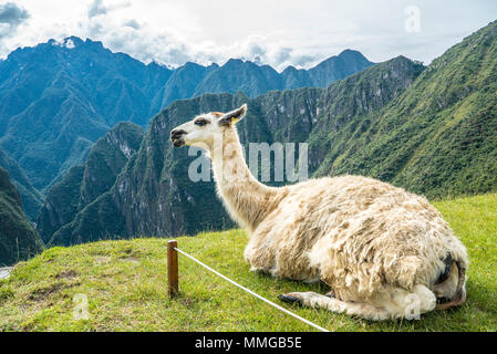 Der Weg nach Machu Picchu und schöne Landschaften Stockfoto