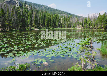 Nymphe See, Rocky Mountain Nationalpark, Colorado Stockfoto