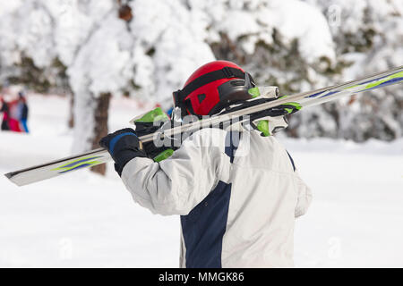 Skifahrer mit Ski an einem verschneiten Wald landschaft. Winter Sport Stockfoto