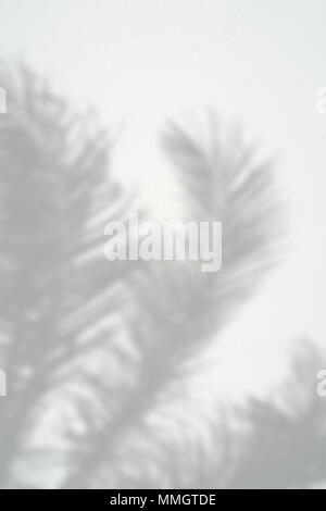 Schwarz und Weiß abstrakt Hintergrund textuer der Schatten Lamelle auf einer Betonwand. Stockfoto