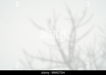 Schwarz und Weiß abstrakt Hintergrund textuer der Schatten Lamelle auf einer Betonwand. Stockfoto