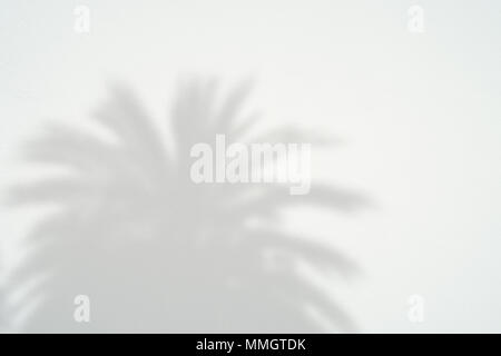 Schwarz und Weiß abstrakt Hintergrund textuer der Schatten Lamelle auf einer Betonwand. Stockfoto
