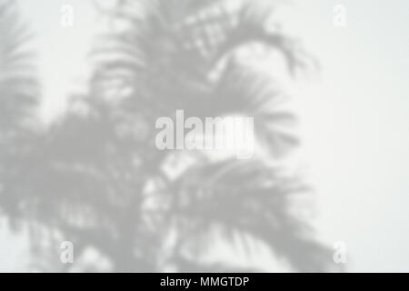 Schwarz und Weiß abstrakt Hintergrund textuer der Schatten Lamelle auf einer Betonwand. Stockfoto