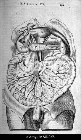 . Thomas Bartholin (1616-1680): Anatome ex omnium veterum recentiorumque observationibus, 1673. . Januar 2008. McLeod 73 Bartholinischen Doppelpunkt Stockfoto