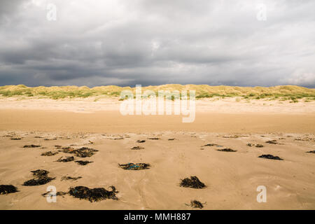 SSSI Harlech Strand mit Dünen und Ammophila arenaria auch Europäischen marram Gras und Gräser bekannt Stockfoto