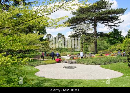 Der japanische Garten in den Royal Botanic Gardens, Kew, London England Großbritannien Stockfoto