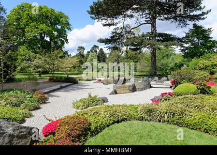 Der japanische Garten in den Royal Botanic Gardens, Kew, London England Großbritannien Stockfoto