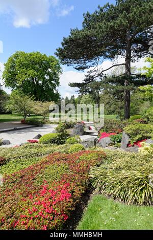 Der japanische Garten in den Royal Botanic Gardens, Kew, London England Großbritannien Stockfoto