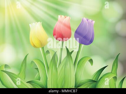 Bunte Tulpen in Natur Hintergrund Abbildung Stock Vektor