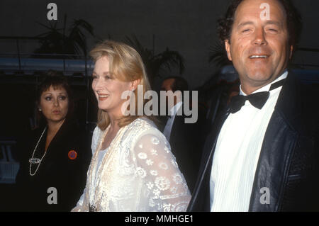 BURBANK, CA - Juni 02: Schauspielerin Meryl Streep und Ehemann Don Gummer an Warner Bros. Studio Umwidmung Ereignis bei Warner Bros Studios am 2. Juni 1990 in Burbank, Kalifornien. Foto von Barry King/Alamy Stock Foto Stockfoto