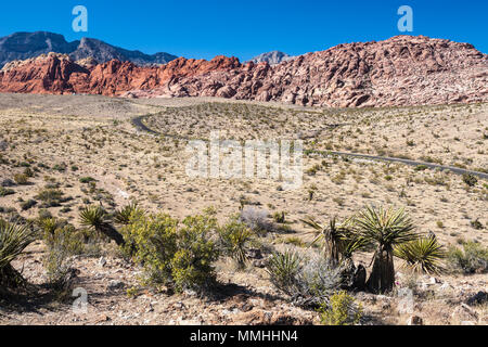 Serpentinenstraße Kurven durch die Vorberge im Red Rock Canyon National Conservation Area außerhalb von Las Vegas, Nevada Stockfoto