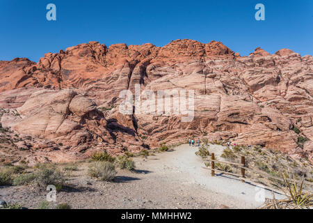 Die Park Besucher vorbei an bunten Felsformationen auf Calico 1 Trail im Red Rock Canyon National Conservation Area außerhalb von Las Vegas, Nevada Stockfoto