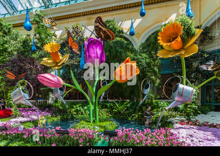 Springbrunnen von Tulpen, Narzissen, und Gießkannen innerhalb des Bellagio Wintergarten und Botanische Gärten in der Billagio Luxus Resort und Casino auf dem Las Vegas Strip im Paradies, Nevada
