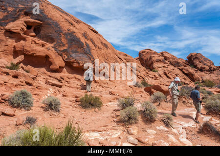 Besucher fotografieren Symbole in roten Sandsteinformationen im Valley of Fire State Park in Overton, Nevada nordöstlich von Las Vegas Stockfoto