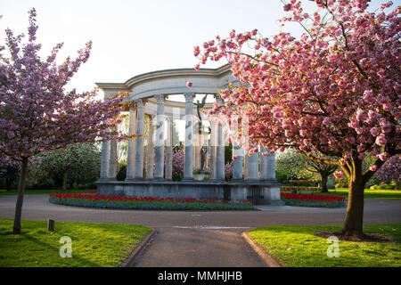 Kriegerdenkmal in Alexandra Gärten als rosa Blüte ist auf Bäume im Frühling im Cathays Park, Cardiff, Wales, UK gesehen. Stockfoto