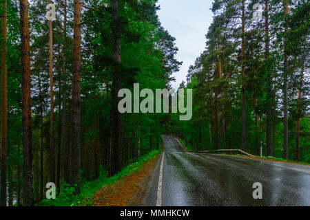 Straße und Wald in Punkaharju Grat. Shouthern Savonia, Lakeland Region, Finnland Stockfoto