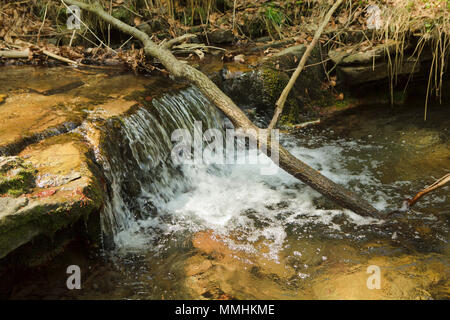 Kleine Kaskade in Mountain Stream Stockfoto